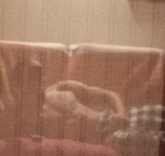 Profil de Kael, 38 ans, Bars gay à Münchenbuchsee (Berne)