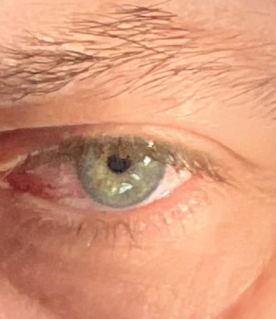 Profil de Nigel, 29 ans, Bars gay à Fürstenau (Grisons)
